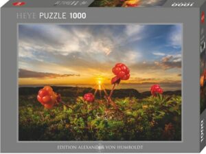 HEYE Puzzle »Cloudberries«